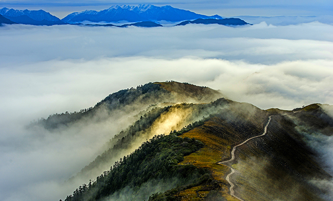 xc sports(中国区)-官方网站