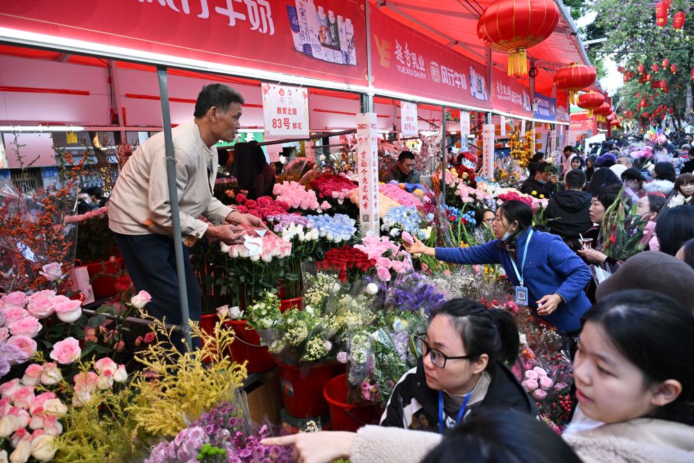 xc sports(中国区)-官方网站